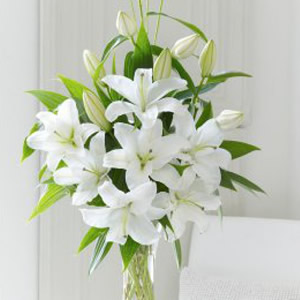 Stunning white oriental lilies arranged with choice foliages.